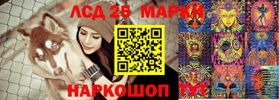 гидропоника Ливны