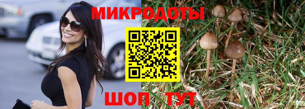 Псилоцибиновые грибы прущие грибы  закладка  Узловая  Вход с VPN 