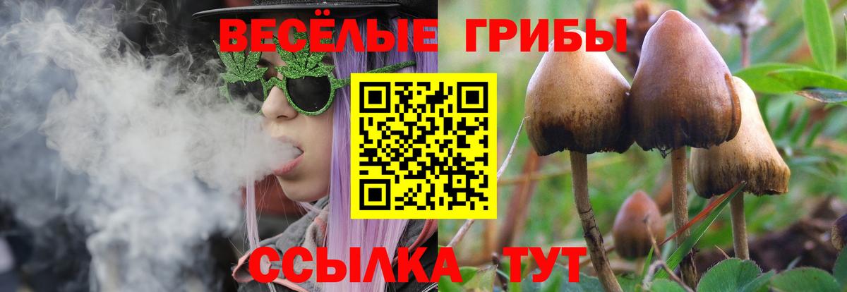 Псилоцибиновые грибы Magic Shrooms Узловая